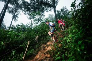 BIB: 
                            <button type="button" onclick="openModal(26202442)" class="btn btn-primary btn-sm float-right btn-popup" data-toggle="modal" data-target=".modal-high-quality">
                        <i class="fas fa-shopping-cart"></i> Add to Cart
                    </button>
                                            <button type="button" onclick="isThisMe(26202442, true)" class="btn btn-success btn-sm float-right btn-popup btn-isme hidden" data-toggle="tooltip" data-placement="bottom" title="นี่คือรูปของคุณใช่ไหม คลิกที่นี่เพื่อเอาเข้าอัลบั้ม">
                        <i class="fas fa-plus"></i> Add to album
                    </button>
                    <button type="button" onclick="isThisMe(26202442, false)" class="btn btn-warning btn-sm float-right btn-popup btn-isnotme hidden">
                        <i class="fas fa-ban"></i> Remove from album
                    </button>